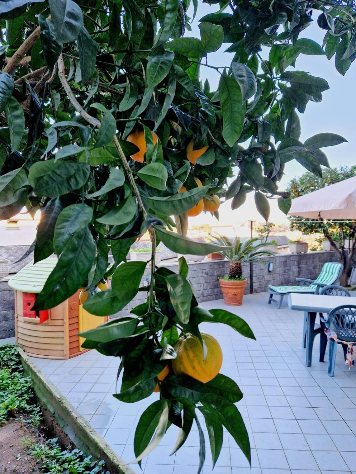 Fuga A Napoli Apartment Exterior photo